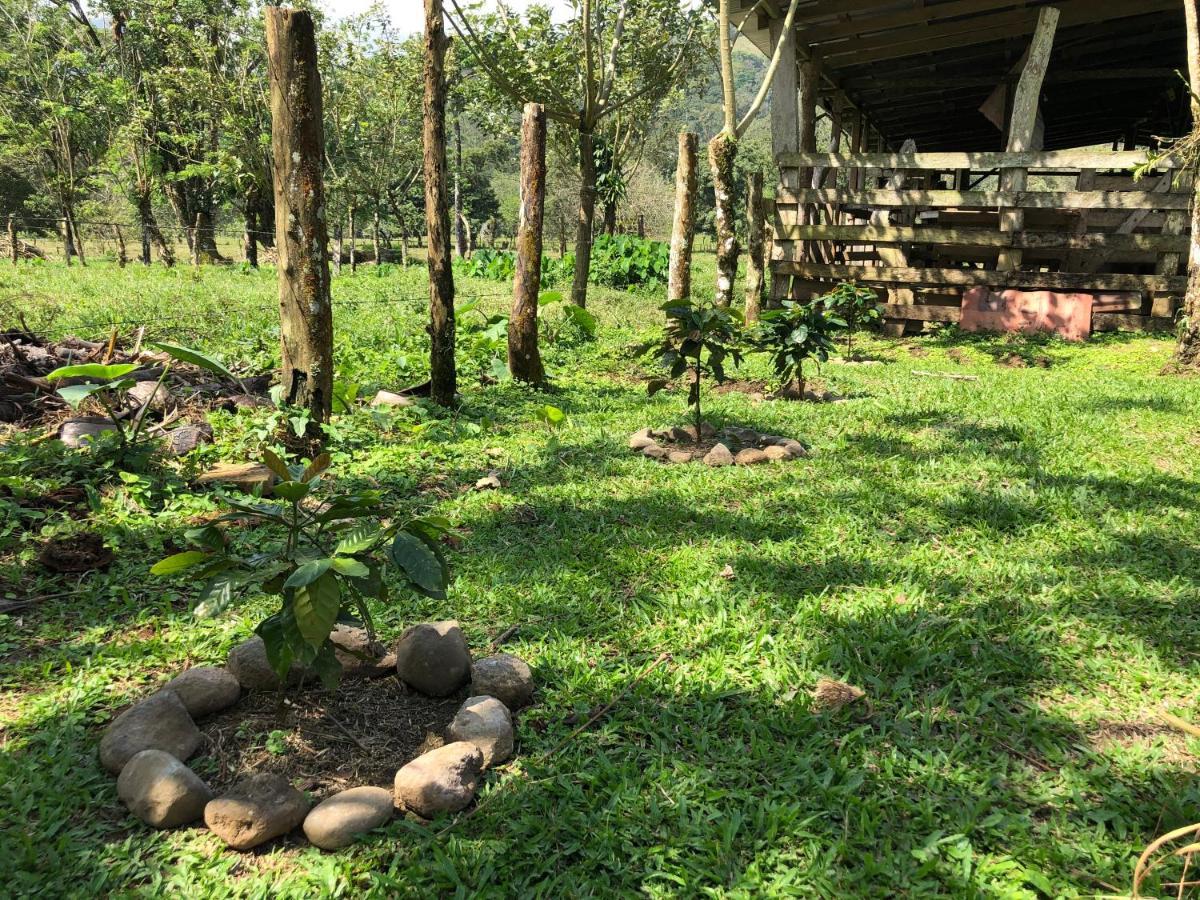 Casita El Jardin Vila Bijagua Exterior foto
